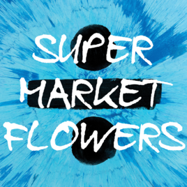 에드 시런 (Ed Sheeran) - Supermarket Flowers [듣기/가사/해석] :: samkimsj