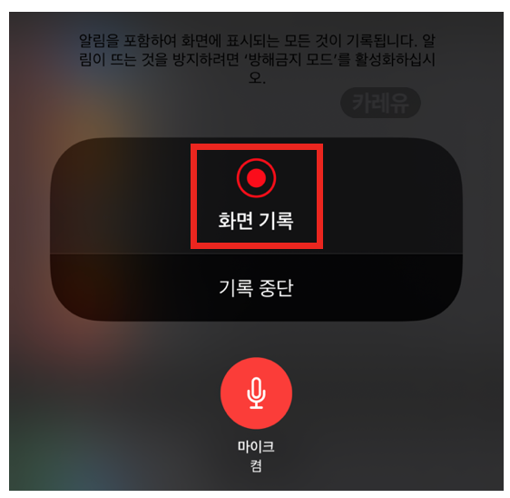 아이폰(iOS) 화면녹화 방법(+ 마이크 소리 포함 화면기록)