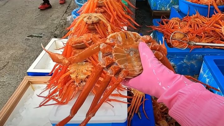 [3월 제철 횟감] 3월에 꼭 먹어야 할 추천 수산물과 생선들