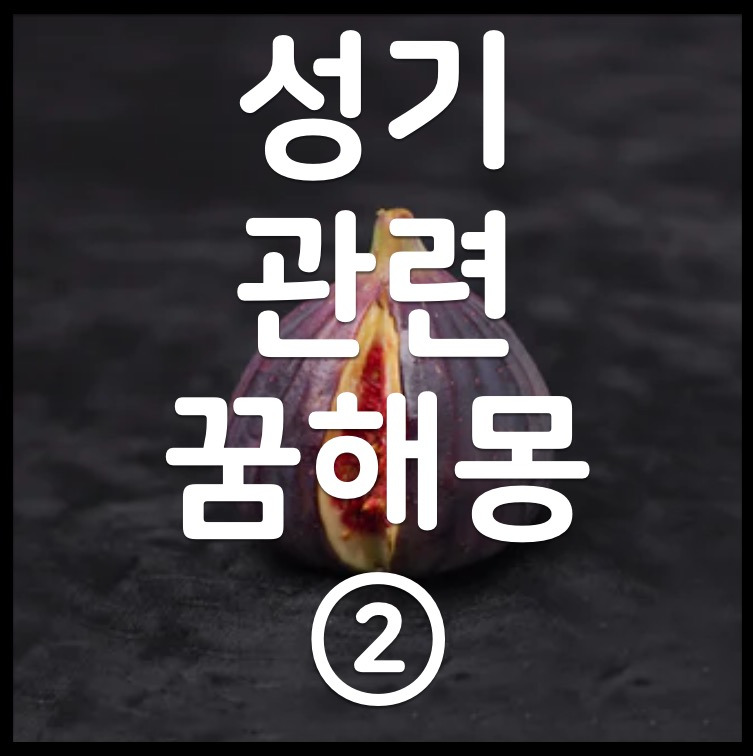 꿈해몽] 성기 꿈 / 남자 여자 성기에 관한 꿈 ②