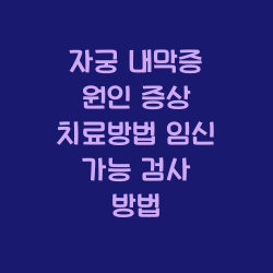 자궁 내막증 원인 증상 치료방법 임신 가능 검사 방법 모든것들