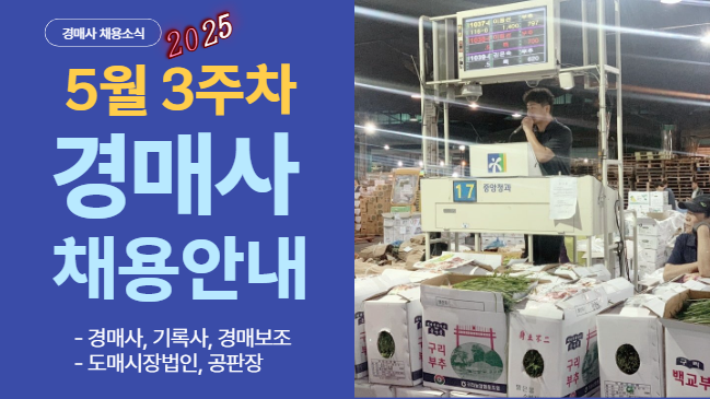 5월 연휴와 행사도 끝나고, 이제 슬슬 도매시장 취업이나 할까? [2025년 5월 3주차]