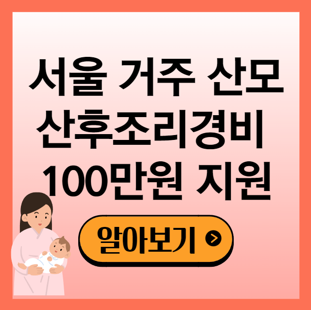 서울 거주 산모 산후조리경비 100만원 지원