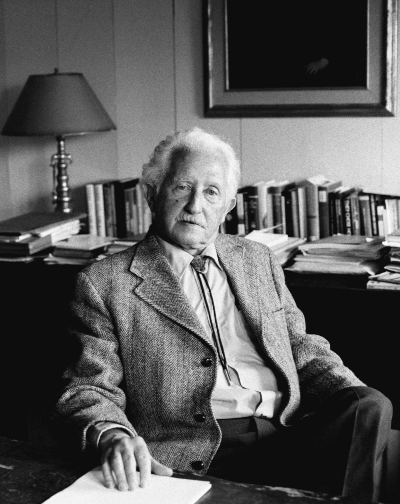 에릭슨(Erik Erikson)의 발달이론