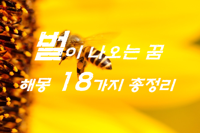 벌꿈 해몽 18가지 총정리 :: 효능, 꿈해몽, 사주팔자, 운세