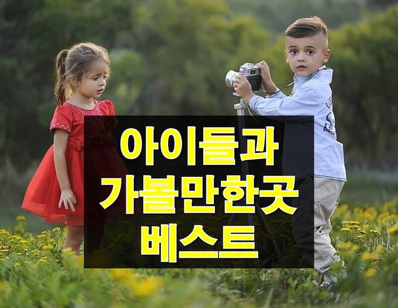 서울, 경기 아이들과 가볼만한 곳 베스트 추천 12