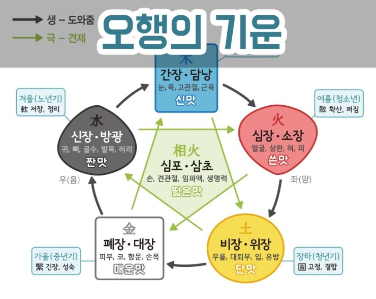 사주오행보는법 재미로보는 사주지식