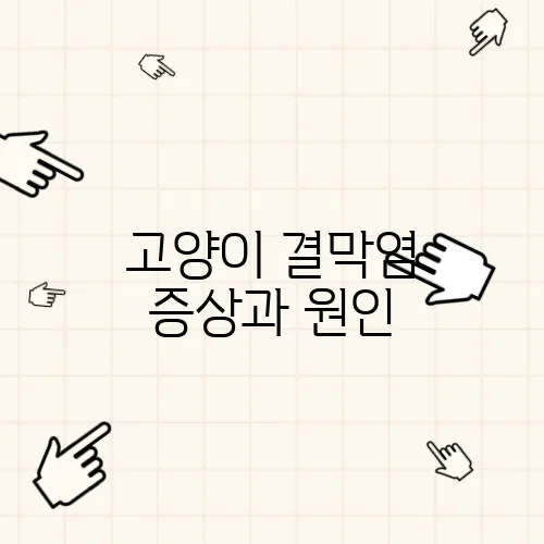 고양이 결막염 증상과 원인