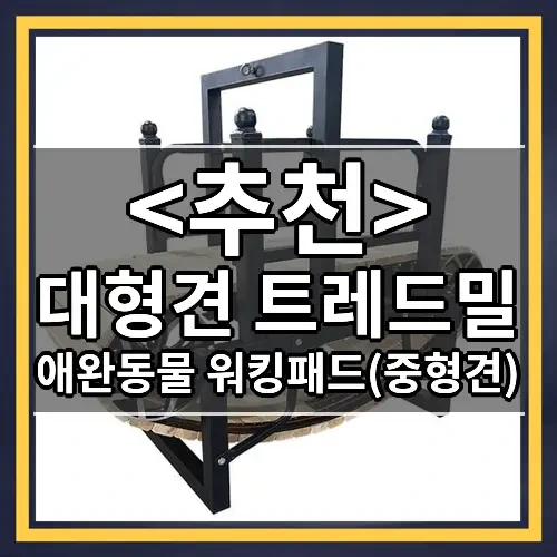 대형견 트레드밀 추천