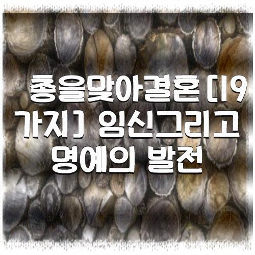 총을맞아결혼[19가지] 임신그리고 명예의 발전