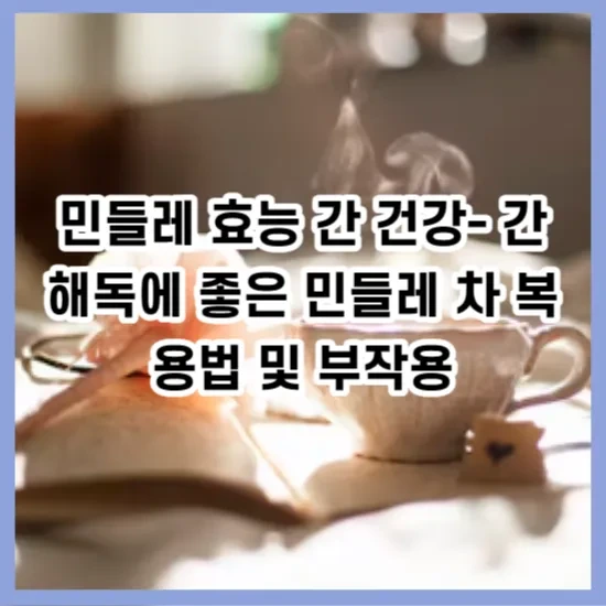 민들레 차는 간 건강에 도움이 됩니다. 소화 개선 항산화 효과로 일상 건강을 관리하는 방법