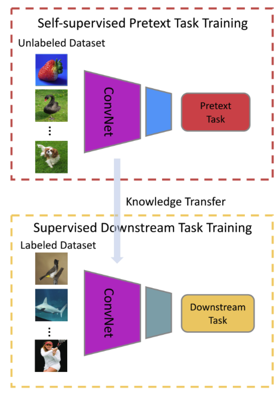 Self-Supervised Learning 훑어보기