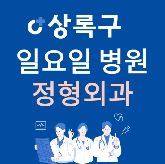 안산시 상록구 일요일 정형외과 진료하는 곳 | 주말에 문 여는 상록구 24시간 정형외과 병원 찾기