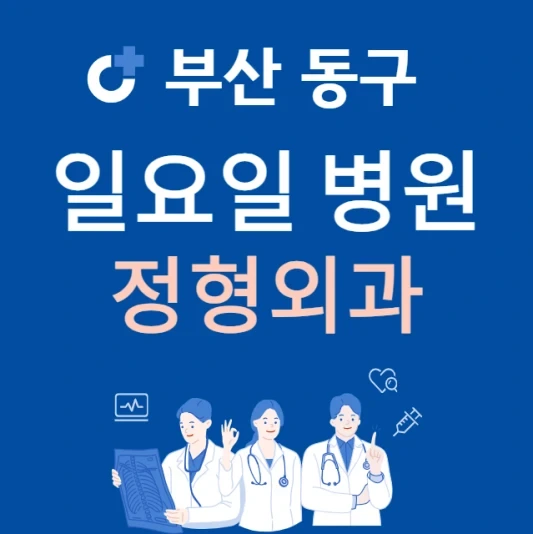 부산 동구 일요일 정형외과 진료하는 곳 | 주말에 문 여는 동구 24시간 정형외과 병원 찾기