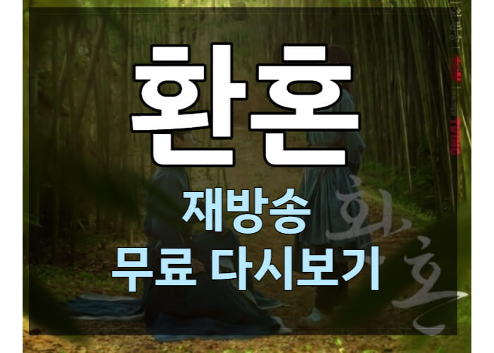 드라마 '환혼' 재방송 OTT 넷플릭스 우회 보러가기
