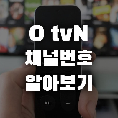 O tvN 채널번호 몇 번일까?