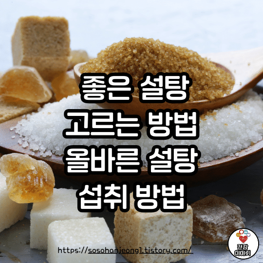 좋은 설탕 고르는 방법과 올바른 설탕 섭취 방법