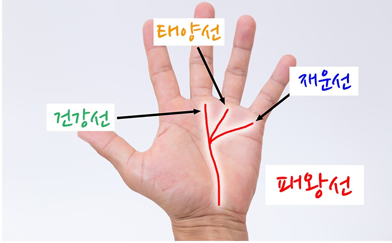 무료 손금 보는 사이트 - M손금, 삼지창 , 일자 손금