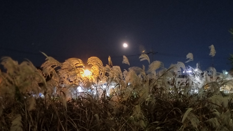 가을..밤