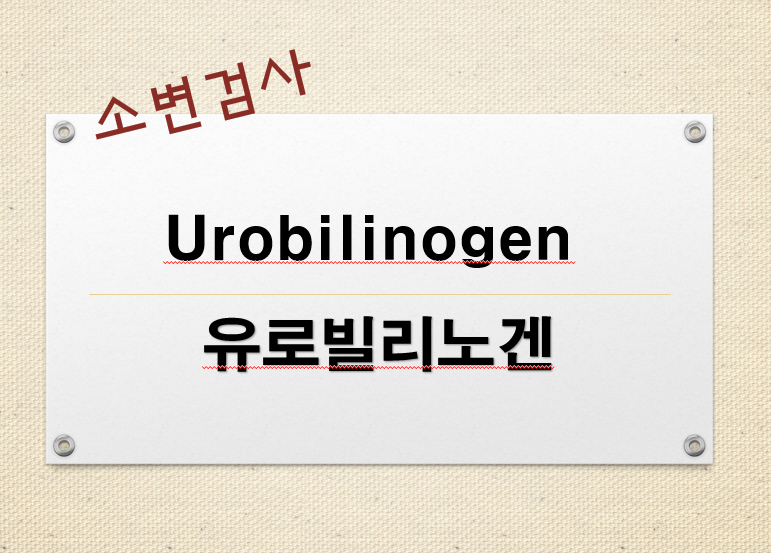  urobilinogen 