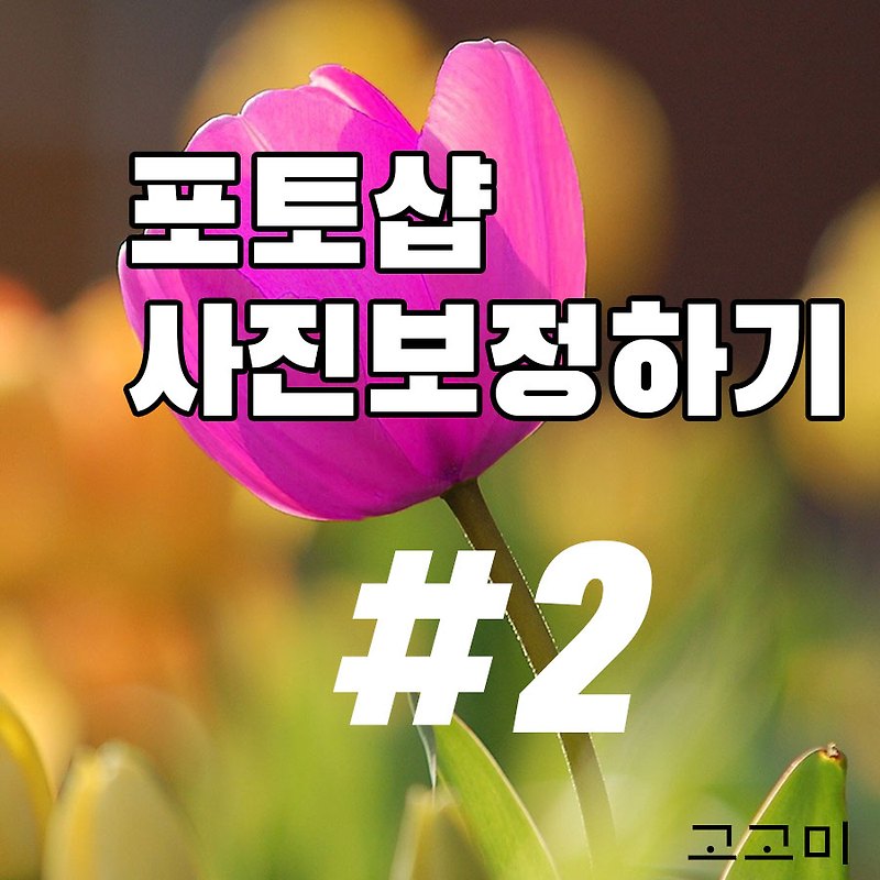 포토샵 사진보정하기 2탄(색상/채도/명도)