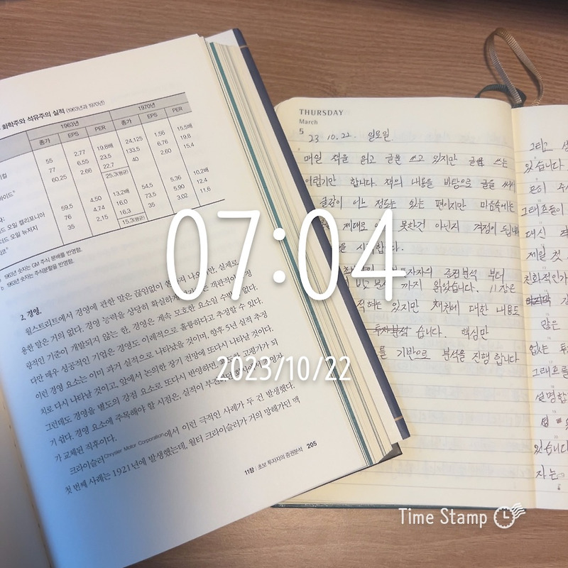 초보투자자의 분석 법 - 현명한 투자자