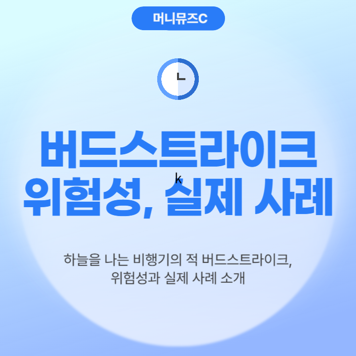 항공 안전의 적, 버드 스트라이크 (Bird Strike) 뜻, 확률, 피해 실제 사례, 전문가 분석 모든 것