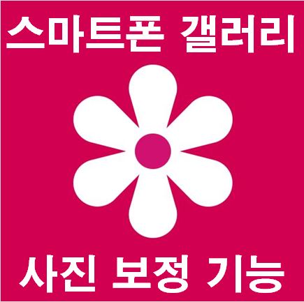 갤럭시 스마트폰 갤러리 기능 꿀팁 :: 사진보정, 얼굴보정