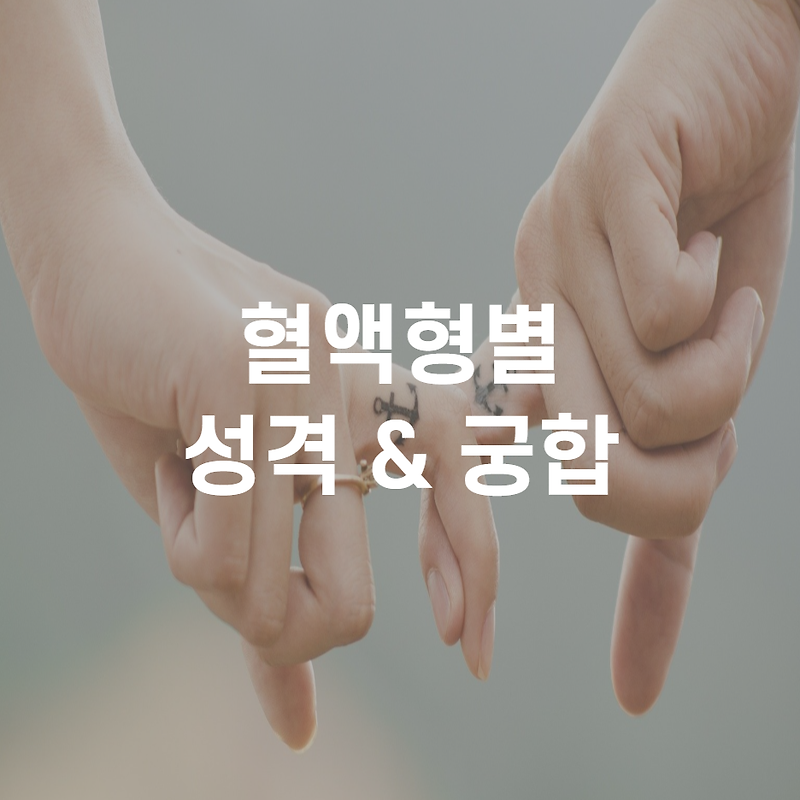 혈액형별 성격 / 커플 궁합 총정리 재미삼아보기