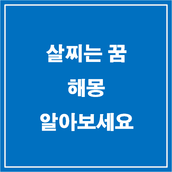 살찌는 꿈 해몽 정리