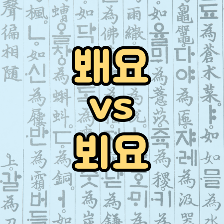 직장에서 자주 틀리는 맞춤법 / 봬요 vs 뵈요 어떤 것이 맞을까?