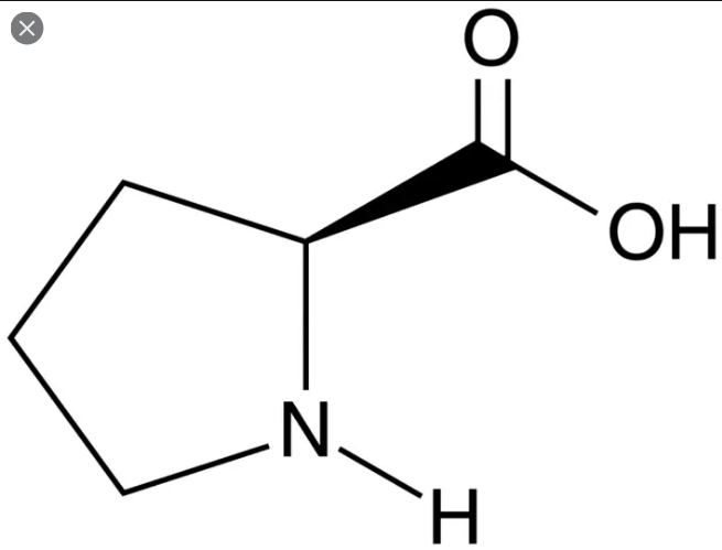 프롤린 (Proline) 효능 부작용 모두 알고 가세요.