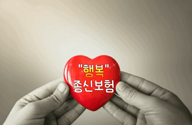 마음 사용 설명서