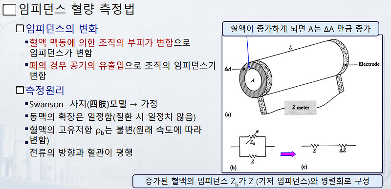 혈류 측정