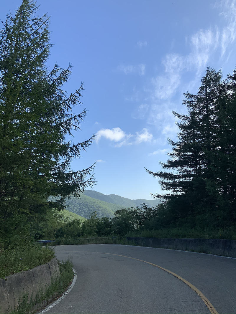 [강원] 별이 가득한 해발 1,180m의 태백 무료 캠핑 - 너덜샘 야영장