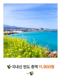 제주항공 찜특가 예약 프로모션 코드 예약성공 꿀팁 일정 정리
