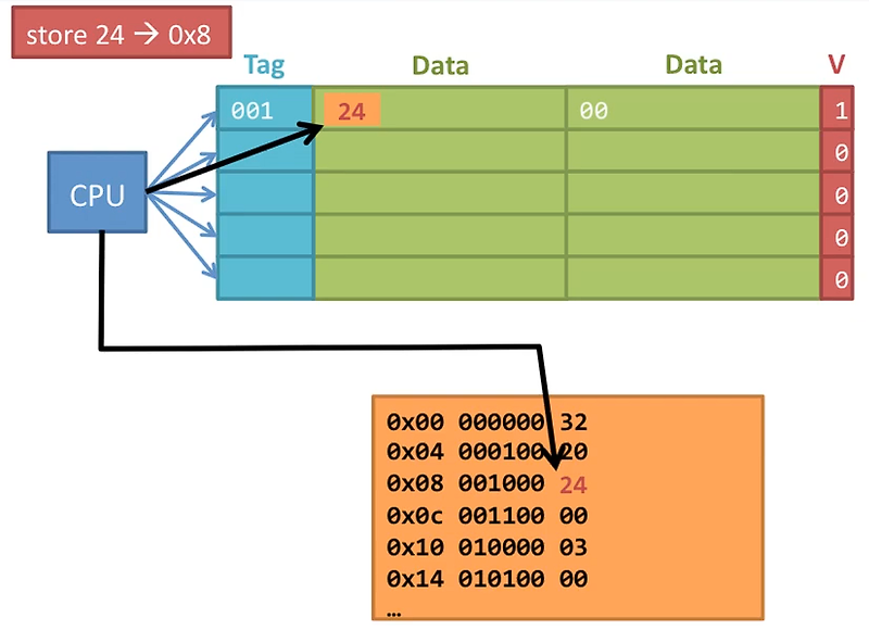 Write Back & Write Through