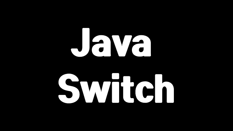 Java에서 Switch 문의 기본 사용법과 실무 응용 예제