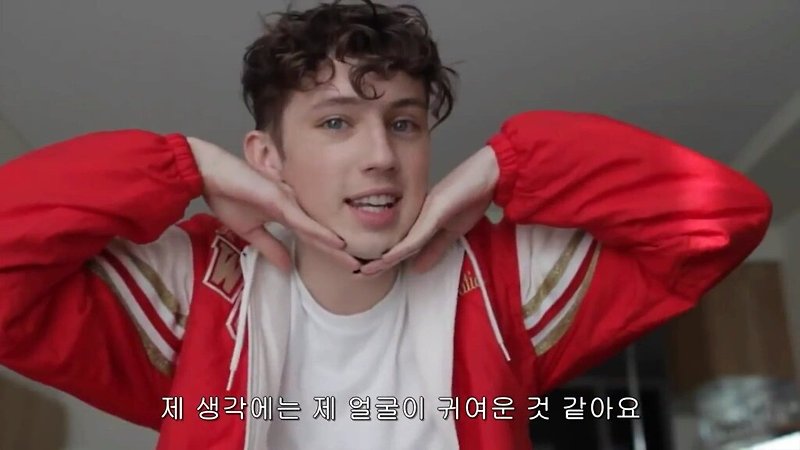 잔잔하게 달달해, Troye Sivan - Strawberries & Cigarettes (가사/해석/듣기)