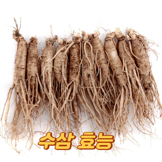 수삼 먹는방법 효능 냉동보관법 튀김 꿀에 재우는 방법