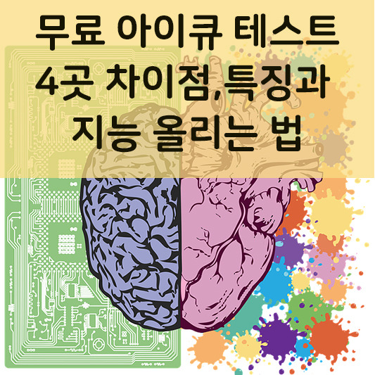 무료 아이큐 테스트 검사 4곳의 차이점과 특징 Iq올리는 법