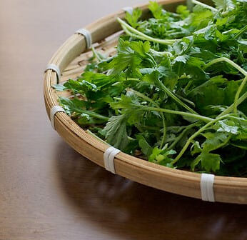 🌼 봄날의 향긋함 : 쑥으로 즐기는 한국의 맛 🌿 - 쑥 요리 레시피, 효능, 쑥 활용 꿀팁!
