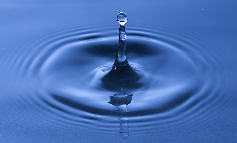 물(WATER)