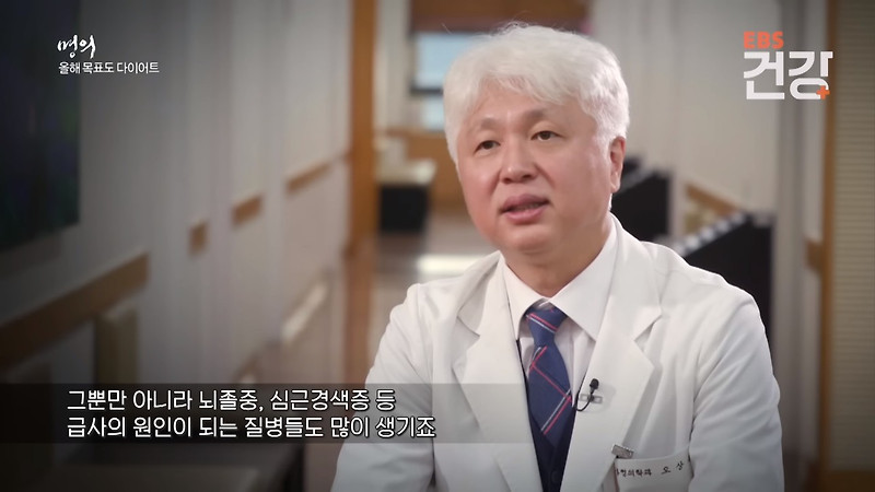 비만 전문의가 말하는 살을 빼야 하는 진짜 이유. 몸 속 내장 지방이 만든 충격적인 결과│명의│EBS건강
