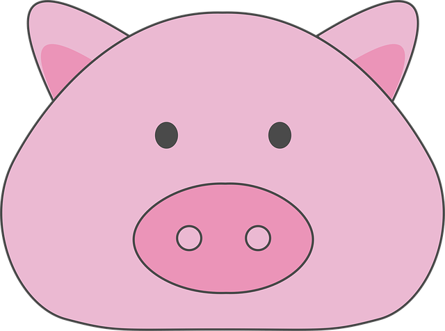 돼지띠 궁합 , 돼지띠와 잘 맞는 띠 ,돼지띠 상극띠 , 돼지띠 운세, 돼지띠 성격 정리합니다.
