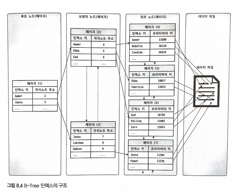 [Real MySQL] 8. 인덱스 - B-Tree, B+Tree, Hash 인덱스