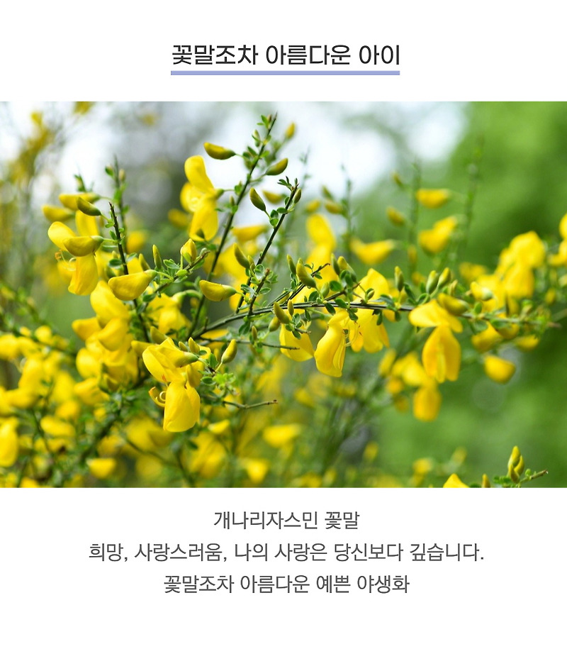 [매력적인 향수] 봄 향수를 찾고 있다면?