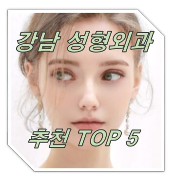 강남 성형외과 순위 TOP 5 - 좋은 성형외과 고르는 기준