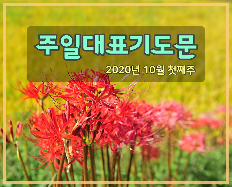 주일대표 기도문(2020년 10월 첫째 주)