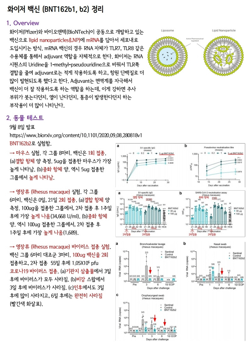 코로나 19 백신 정리/ 화이자, 모더나, 아스트라제네카